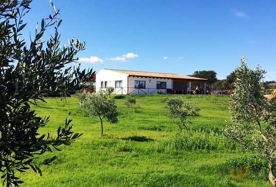 Agriturismo Mieleamaro, Olbia