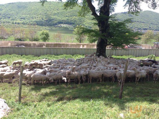 Agriturismo La Falode, Castello del Matese