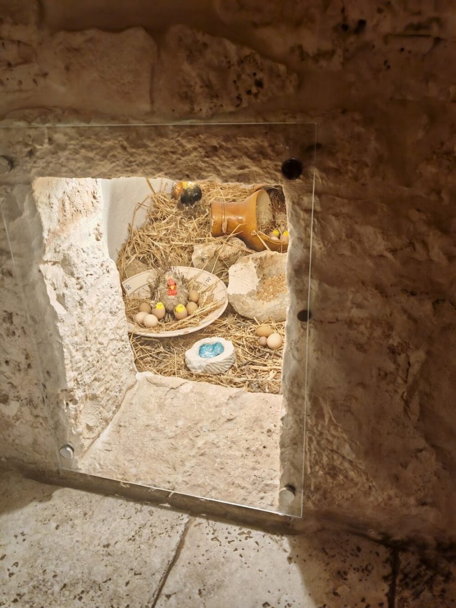 Foto 3 di Aglio Piccolo - Noci