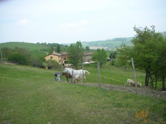 Ca Del Buco Restaurant, Monte San Pietro