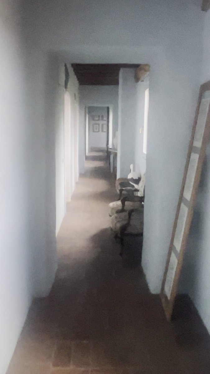 Foto 4 di Cappuccini - Cologne