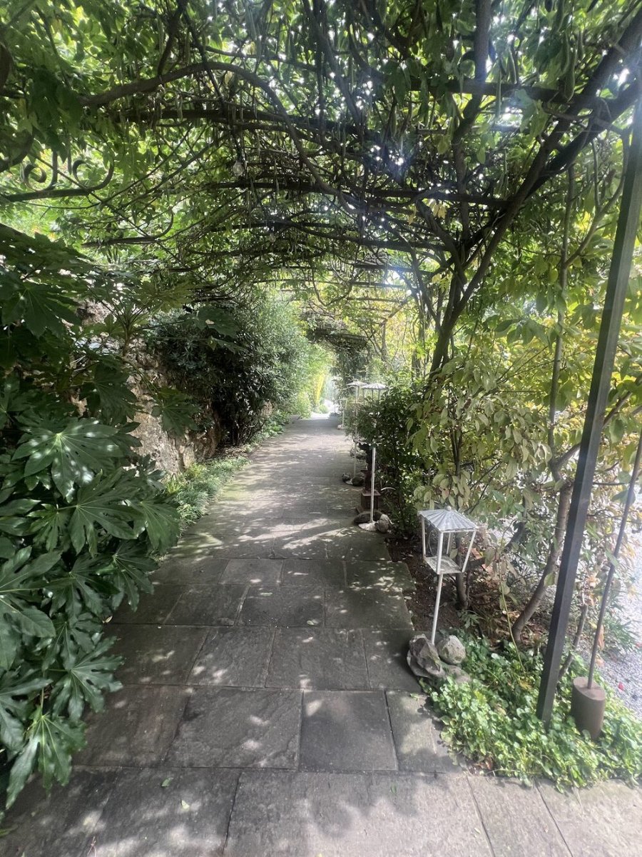 Foto 2 di Cappuccini - Cologne