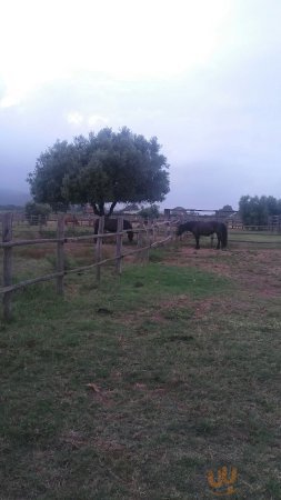 La Tenuta Agricola Dell'uccellina, Magliano in Toscana