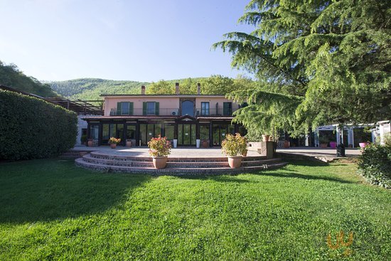 Fattoria Sotto Il Cielo, Pignola