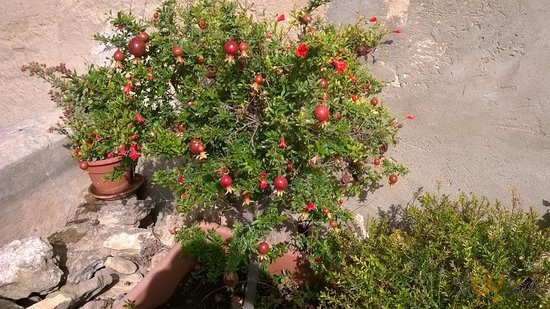 Il Baglio Di San Nicola, Caltagirone