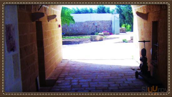 Foto di Masseria Nuova - 8/9