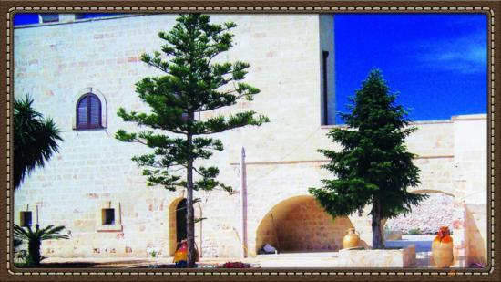 Foto di Masseria Nuova - 9/9