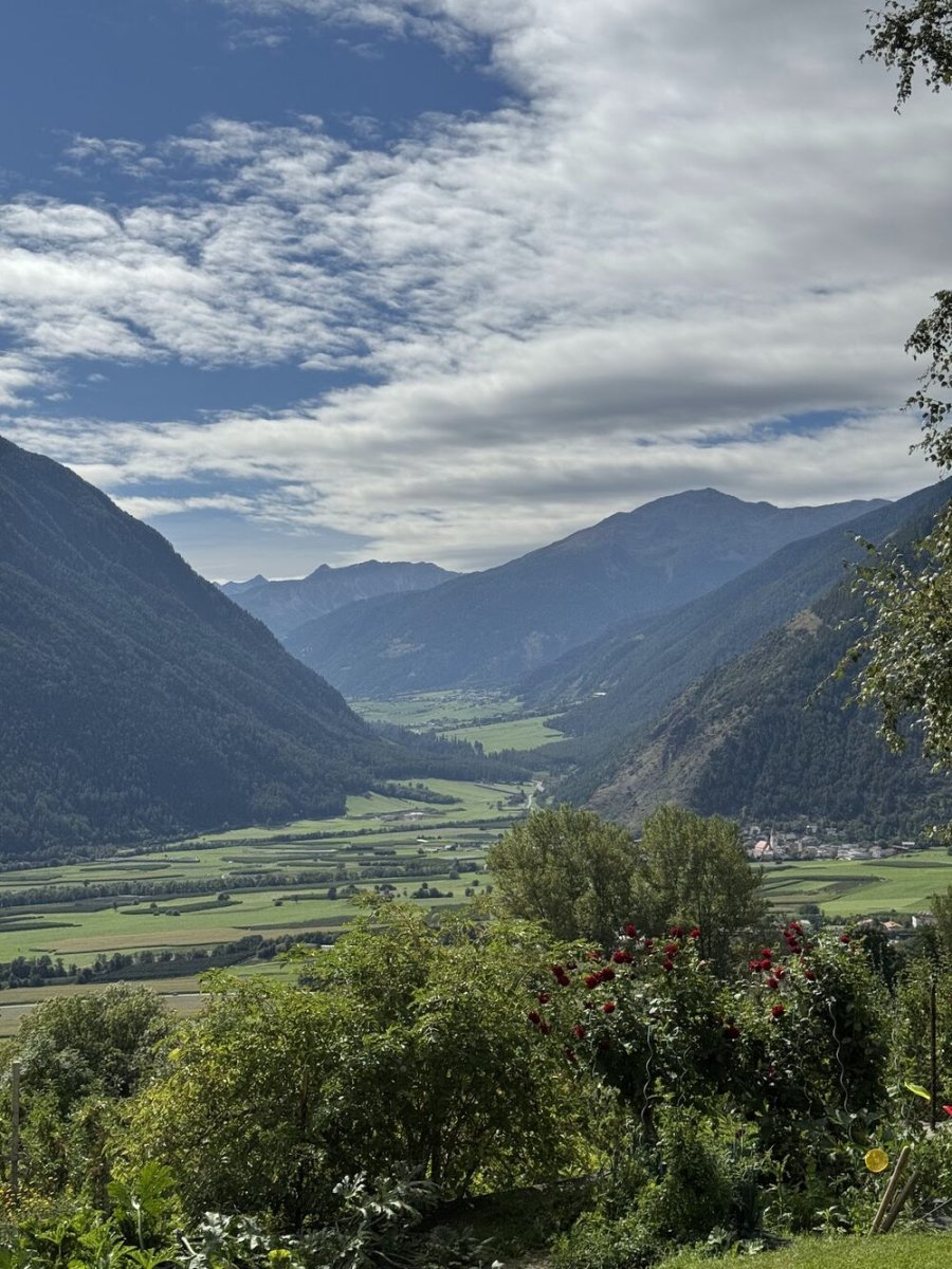 Foto 5 di Pflonzgortn Solis - Malles Venosta