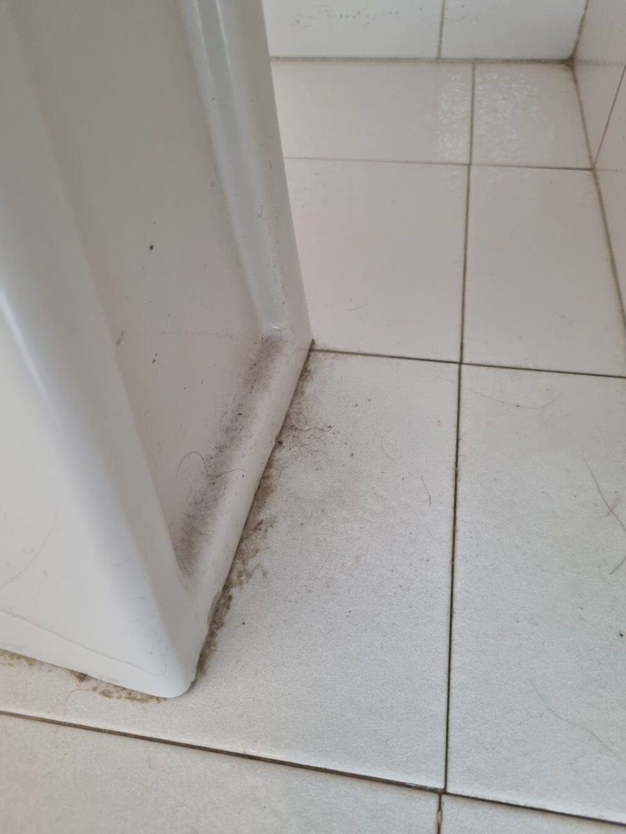 Foto 2 di Ristorante Gemma - Roseto Degli Abruzzi