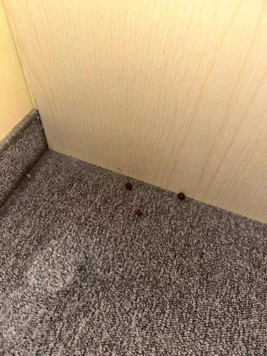 Foto 4 di Albergo Ristorante La Rosa  - Tolmezzo