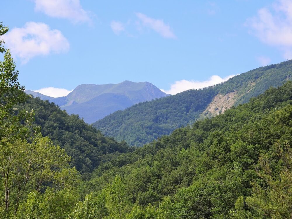 Foto 3 di Le Boccede Country House - Villa Minozzo