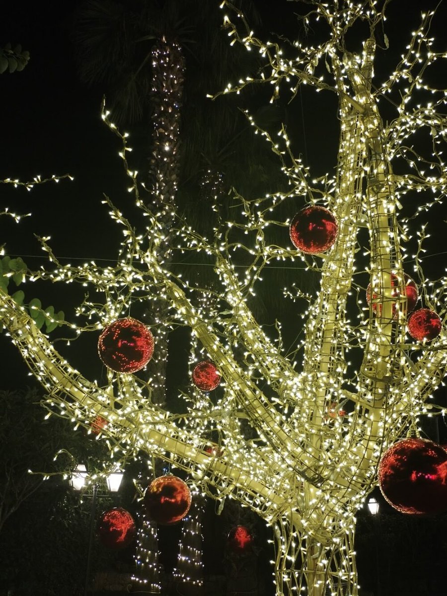 Foto 4 di Ristorante Tesoretto - Poggiardo