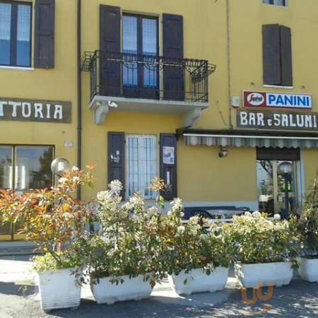 Trattoria Cattani, Terenzo