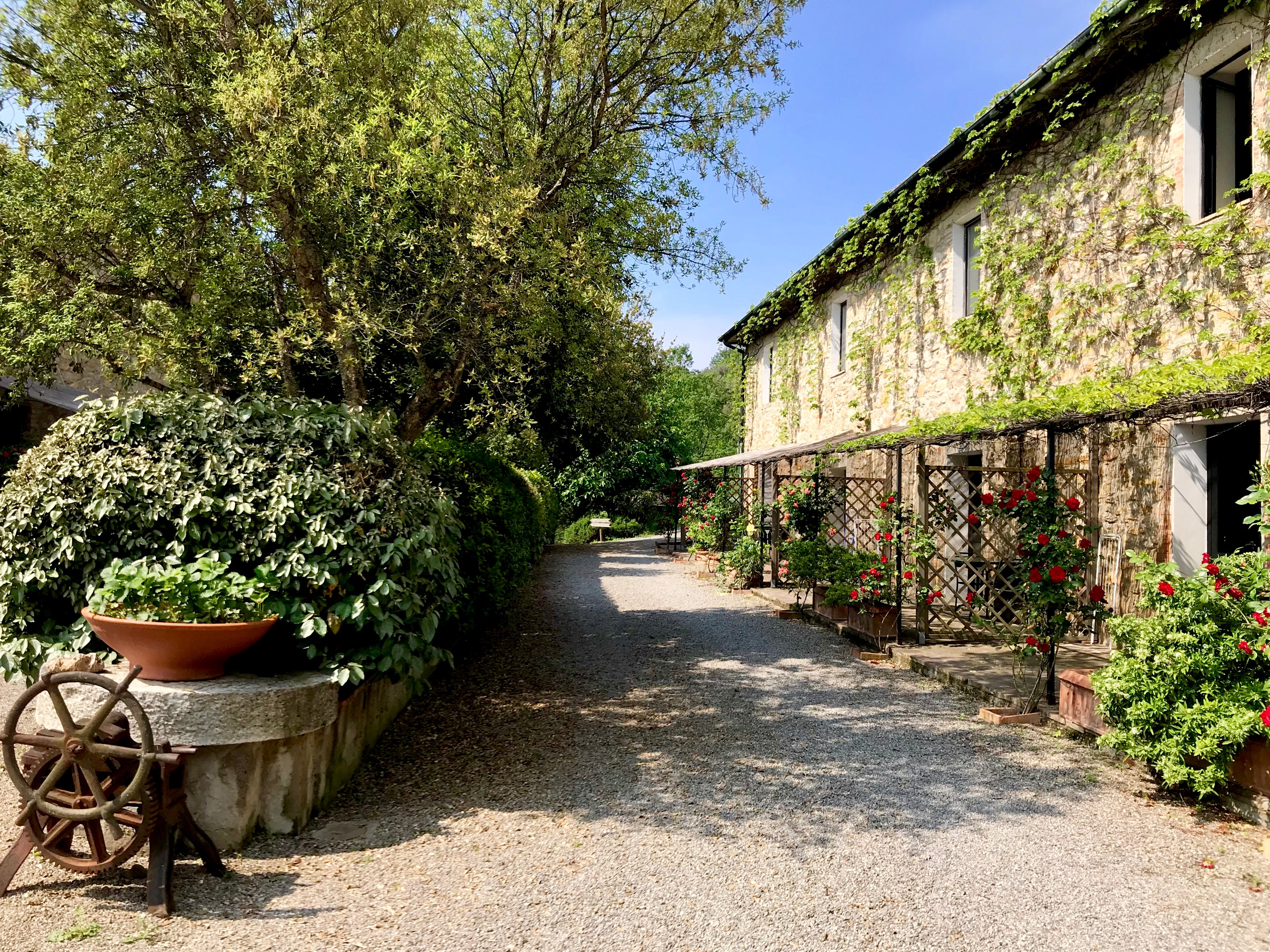 Agriturismo San Ottaviano a Monterotondo Marittimo