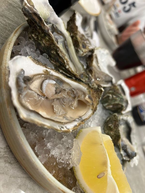 Sushi Teca Sas Di Zhu Linwei