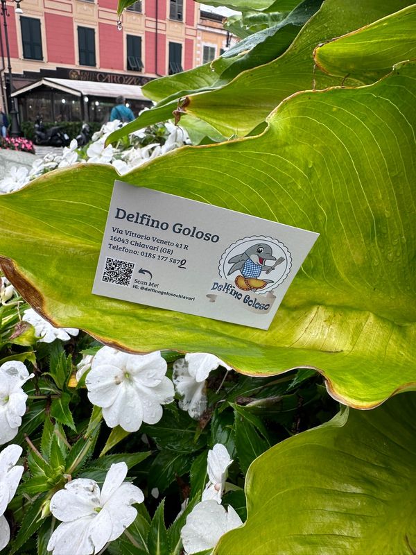 Delfino Goloso Street Food Made In Sud