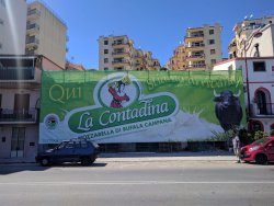 La Contadina Messina, Messina