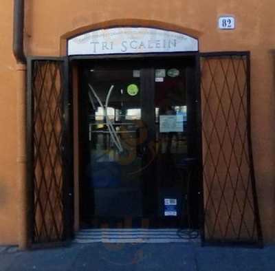 Tri Scalein