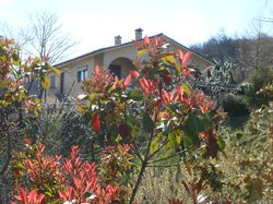 Azienda Agrituristica Costa Della Figura, Montefelcino