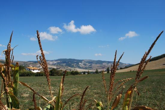 Agriturismo Il Gelso, Urbino