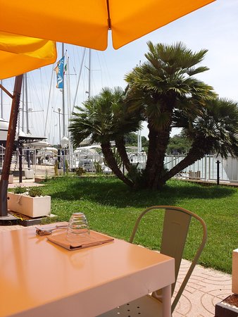 Quarantunododici E Il Tino