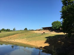 Agriturismo Cascina Amarant, Bergamasco