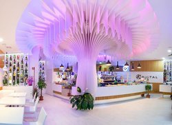 Kristal Bar Aperitif Lounge & More, Ladispoli