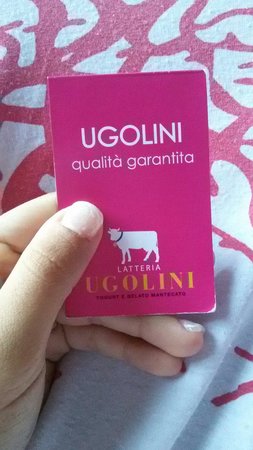 Latteria Ugolini, Cremona