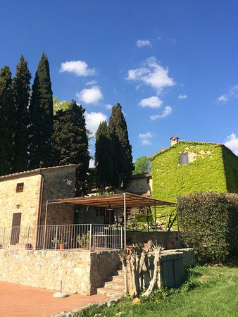 Chianti Winery, Siena