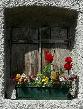 Gasthof Falkenstein, Naturno