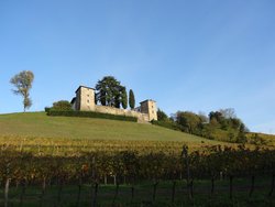 Castello Di Trussio Dell'aquila D'oro, Dolegna del Collio