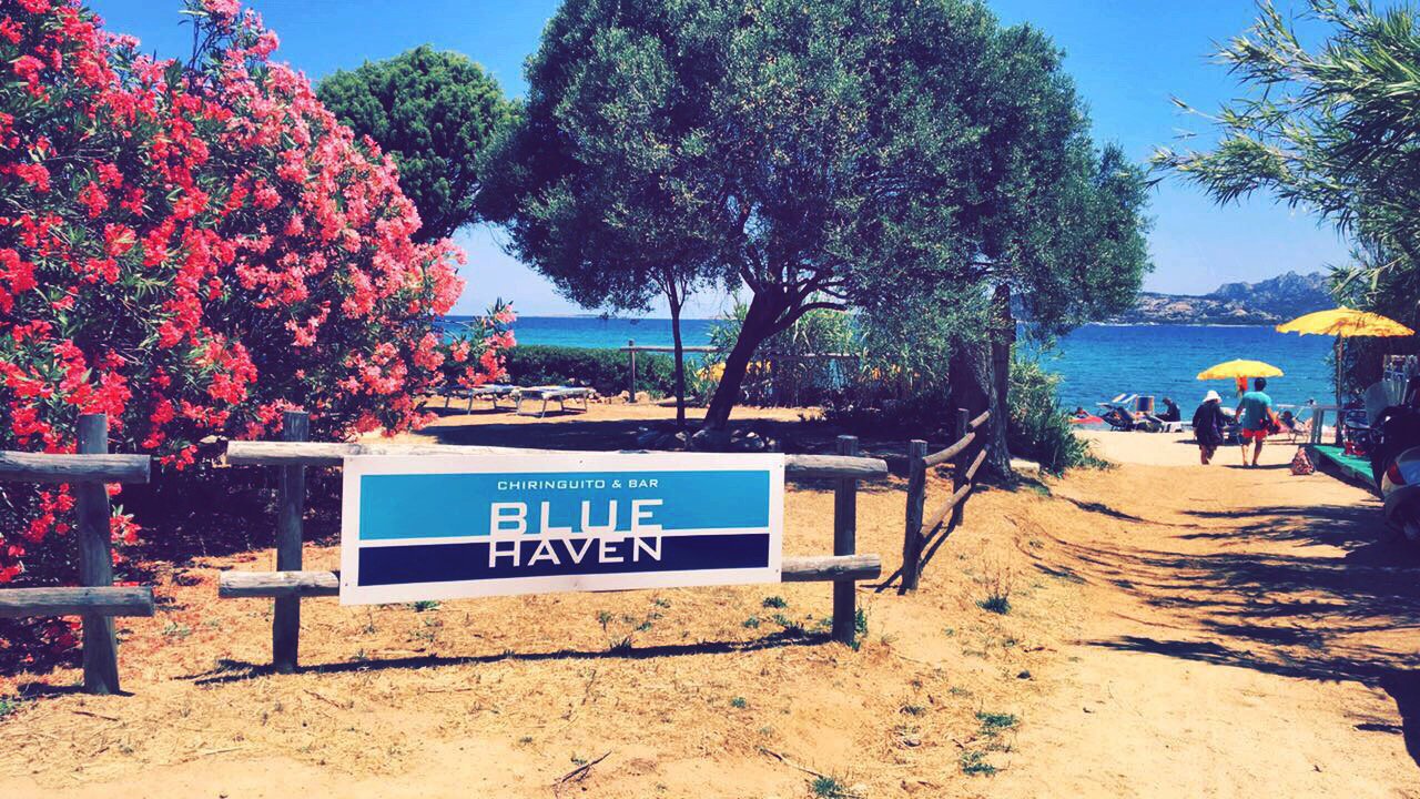 Blue Haven - Chiriguito & Bar, Cannigione