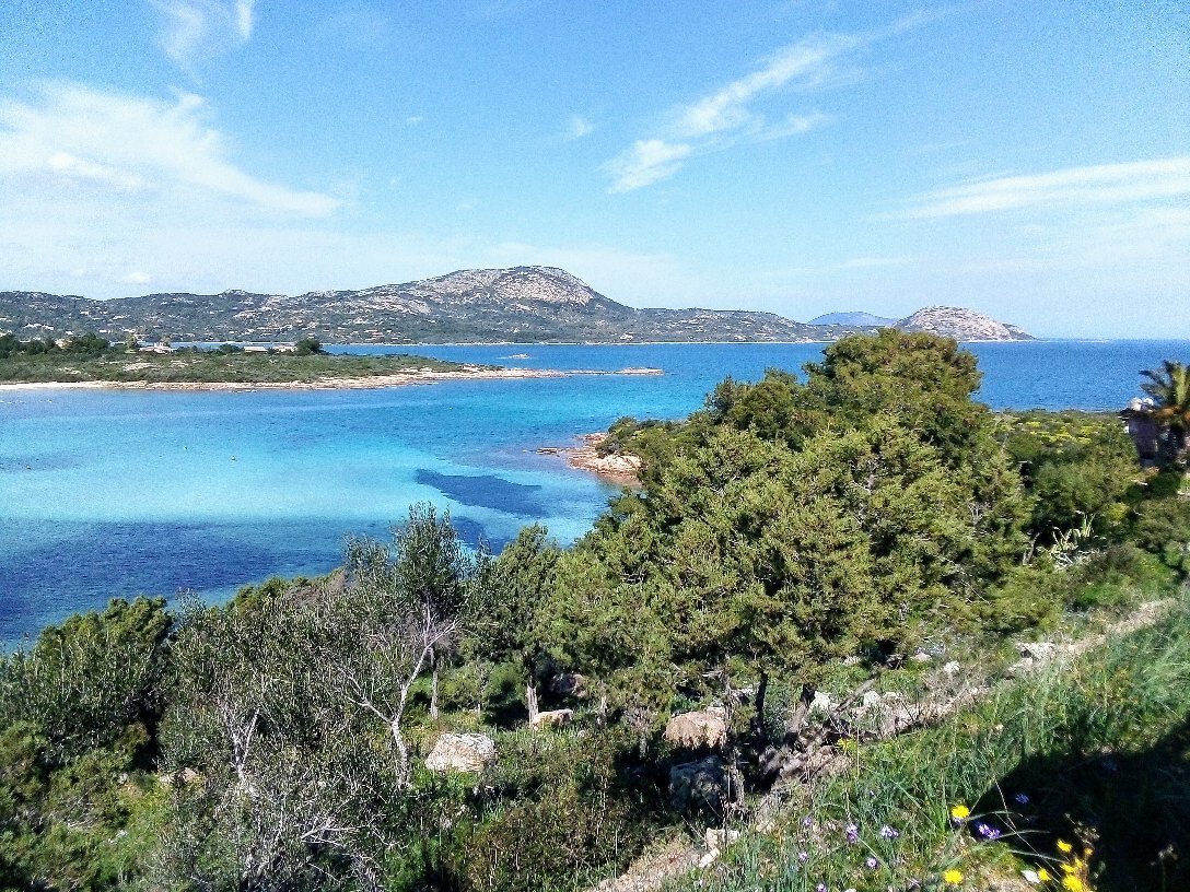 Ristorante Pizzeria La Corallina, Olbia