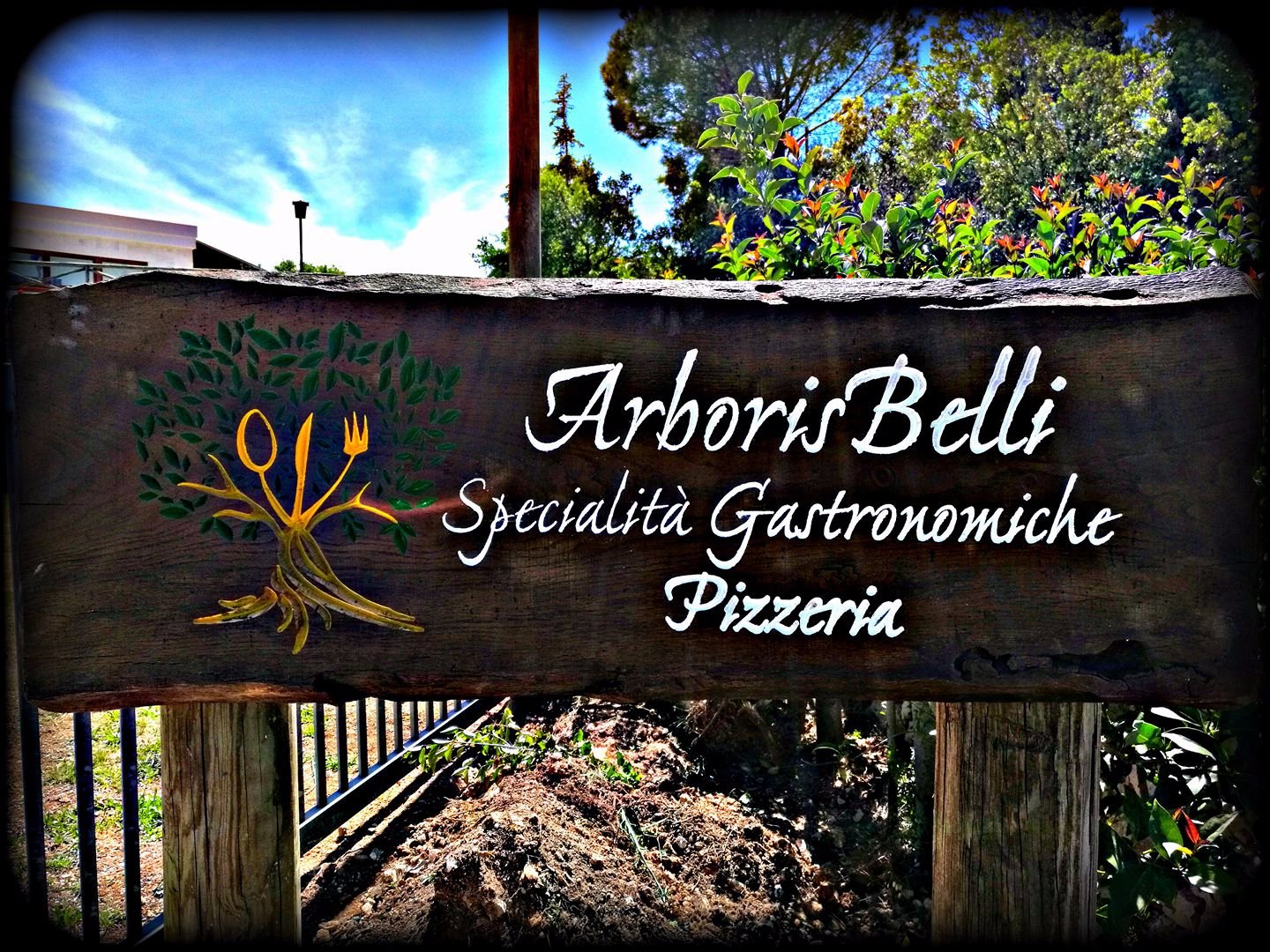 Pizzeria Arboris Belli, Alberobello