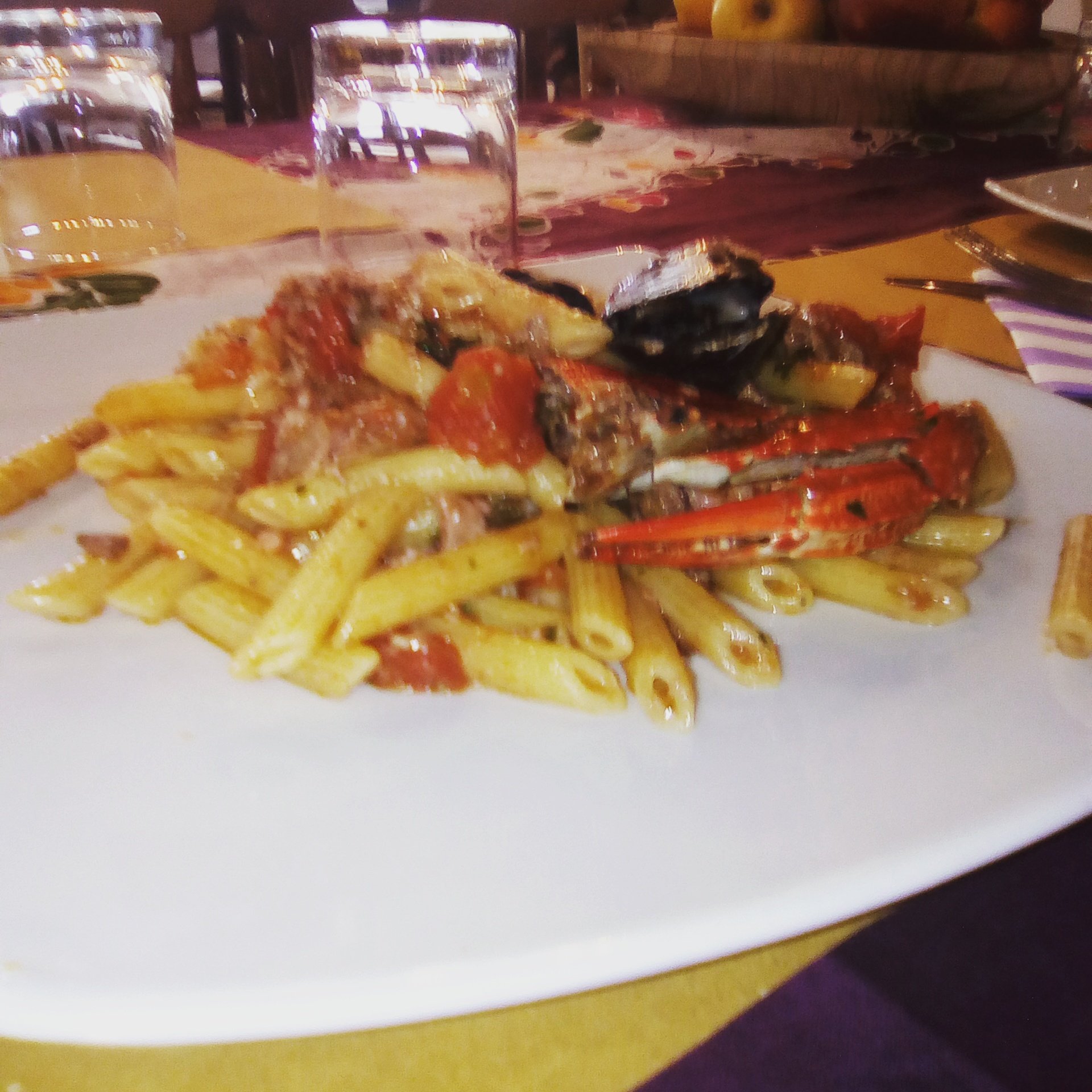 57021 Food & Wine, Campiglia Marittima