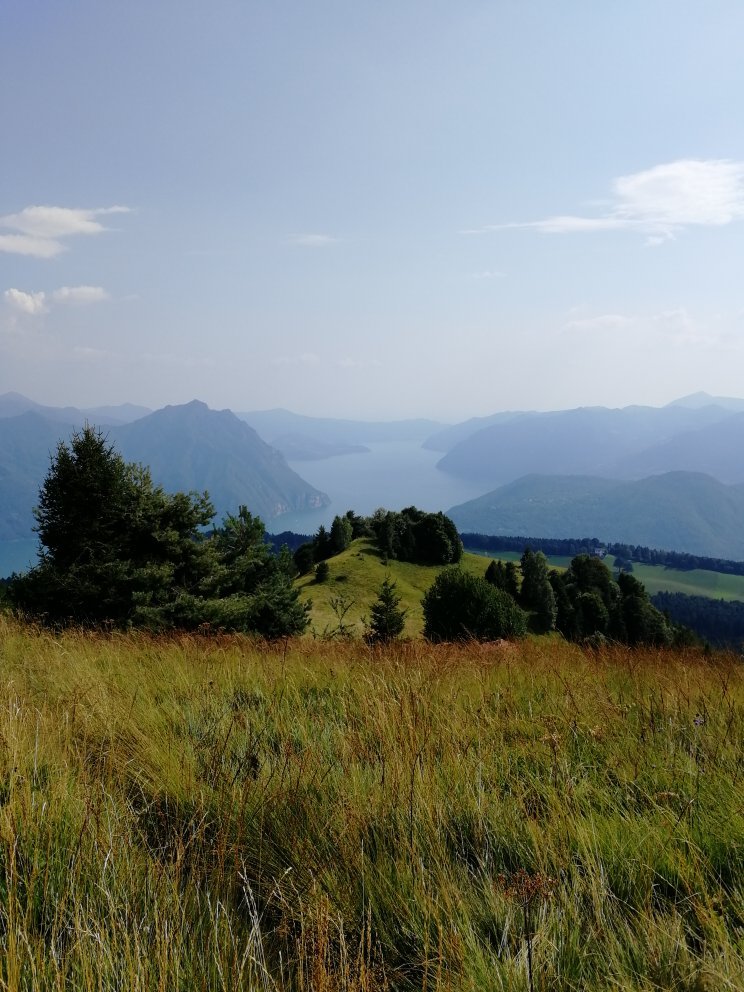 Agriturismo La Selva, Bossico