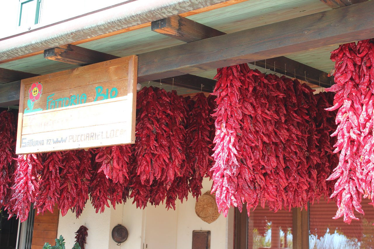 Ristorante Dell'agriturismo Fattoria Bio, Satriano di Lucania