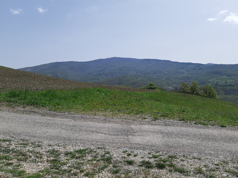 Agriturismo Foresteria La Merlina, Dernice