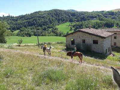 Azienda Agrituristica La Bosana, Piozzano