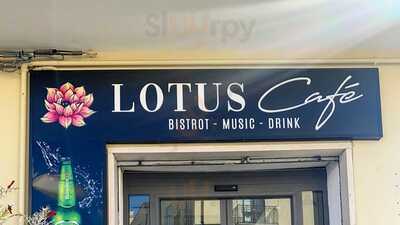 Lotus Café, Montalbano Jonico