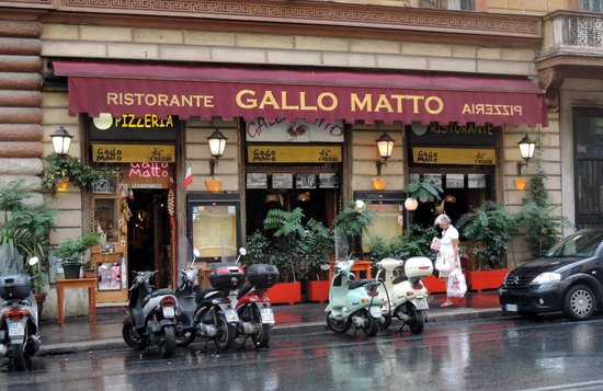 Gallo Malto, Roma