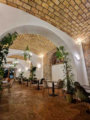 Luce Experience