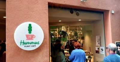 Hummus Plant Cafè, Ancona