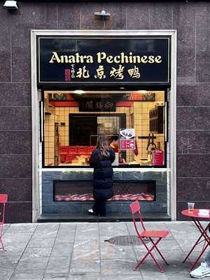 Anatra Pechinese, Milano