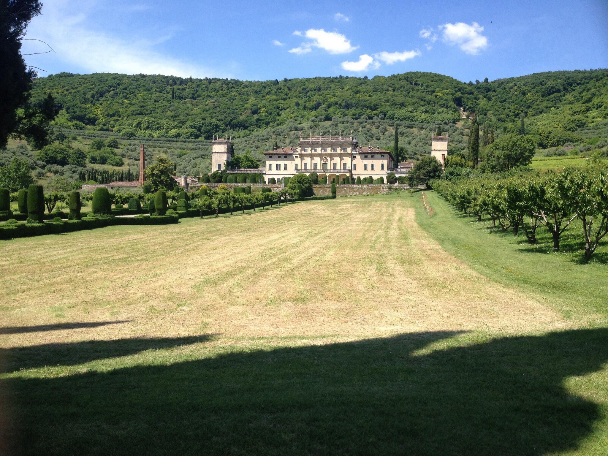 Villa Allegri, Arvedi