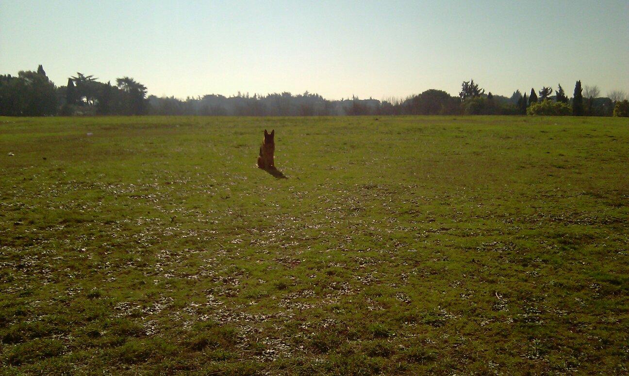 Parco della Caffarella