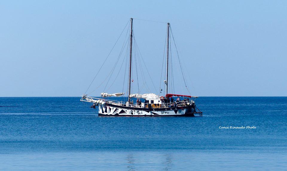 Bonita A.S.D Day Tours