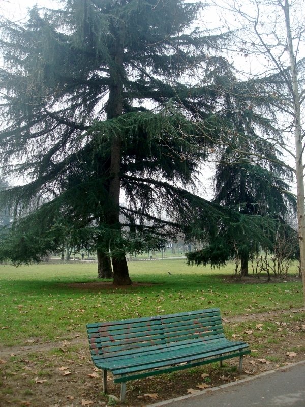 Parco Alessandrina Ravizza