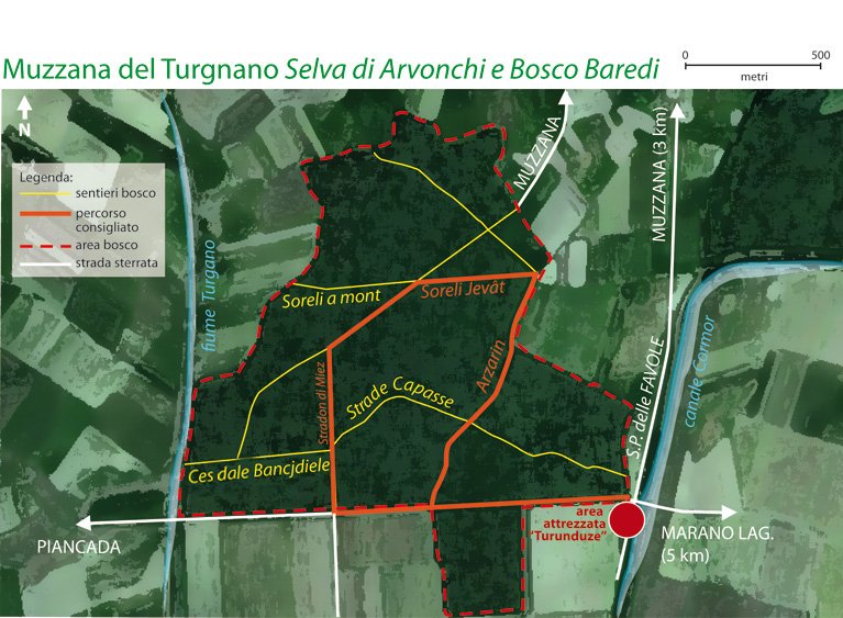 Bosco Baredi - Selva di Arvonchi