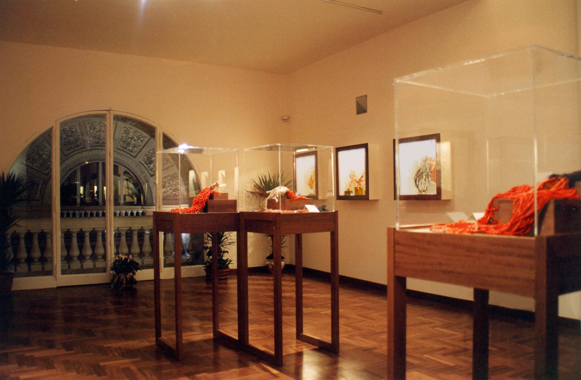 Museo del Corallo Ascione